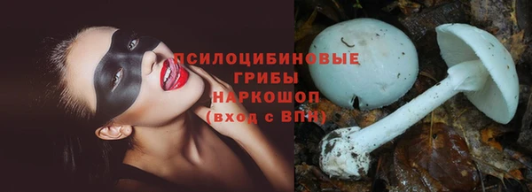 МДПВ Осташков