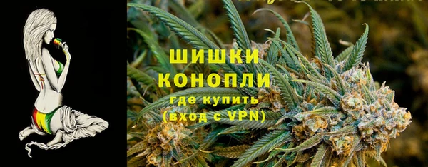 МДПВ Осташков