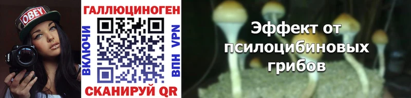 наркотики  Сургут  Галлюциногенные грибы Magic Shrooms 