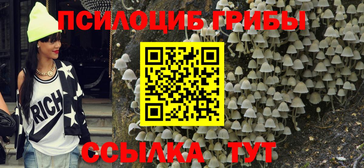 Псилоцибиновые грибы Cubensis Сургут