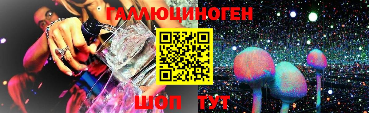 Псилоцибиновые грибы Cubensis  Сургут 