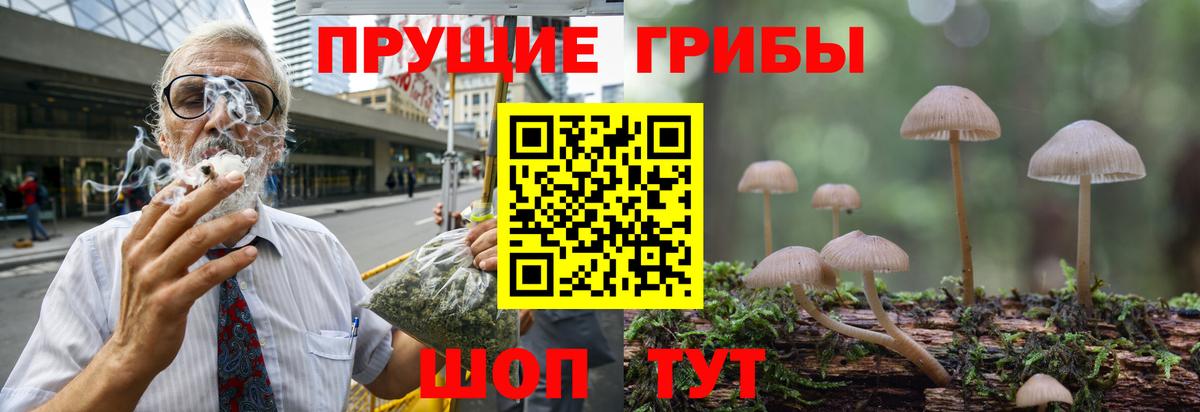 Галлюциногенные грибы Magic Shrooms  Вход с VPN  Сургут 