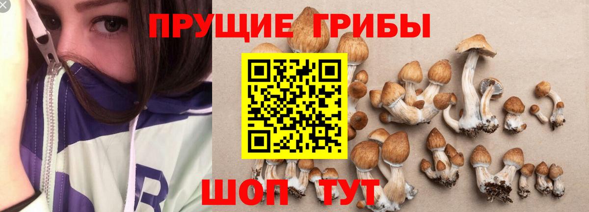 Псилоцибиновые грибы MAGIC MUSHROOMS Сургут