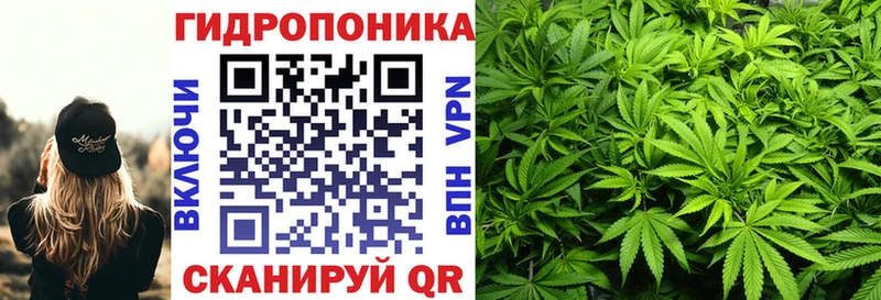 Каннабис семена площадка Telegram кракен ссылки Сургут дарнет шоп
